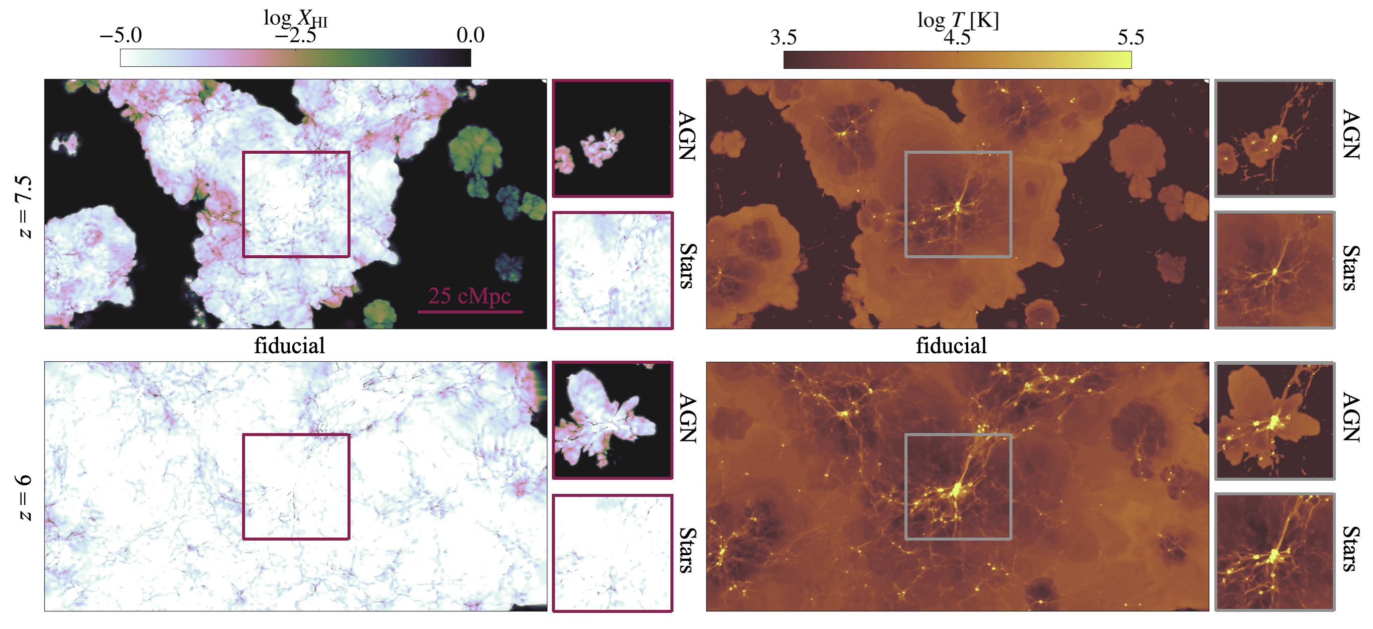 Gas response to stellar and AGN radiation in simulations